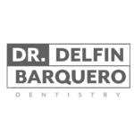 delfin-barquero