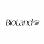 Frame 12